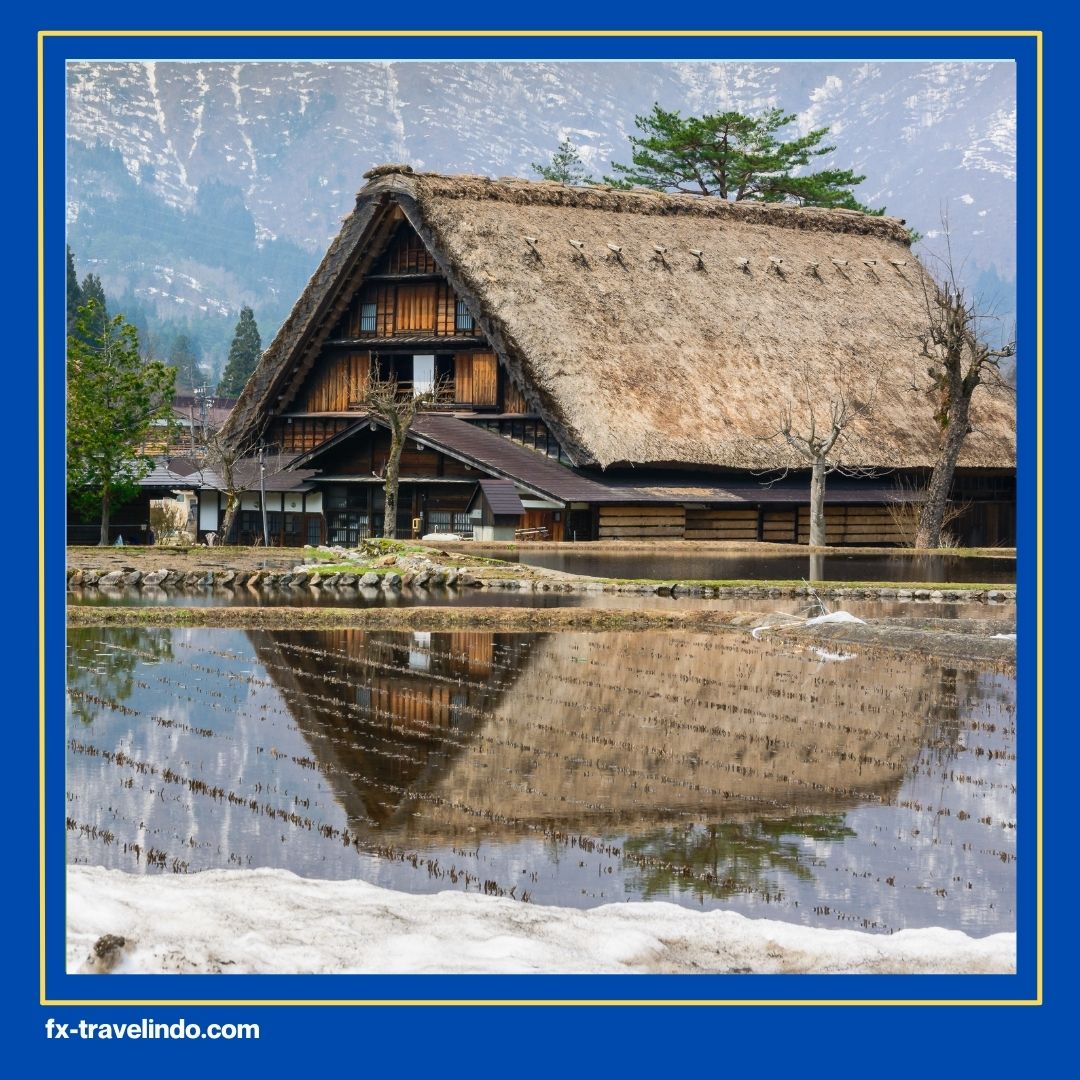 Harga paket tour Jepang 7 hari