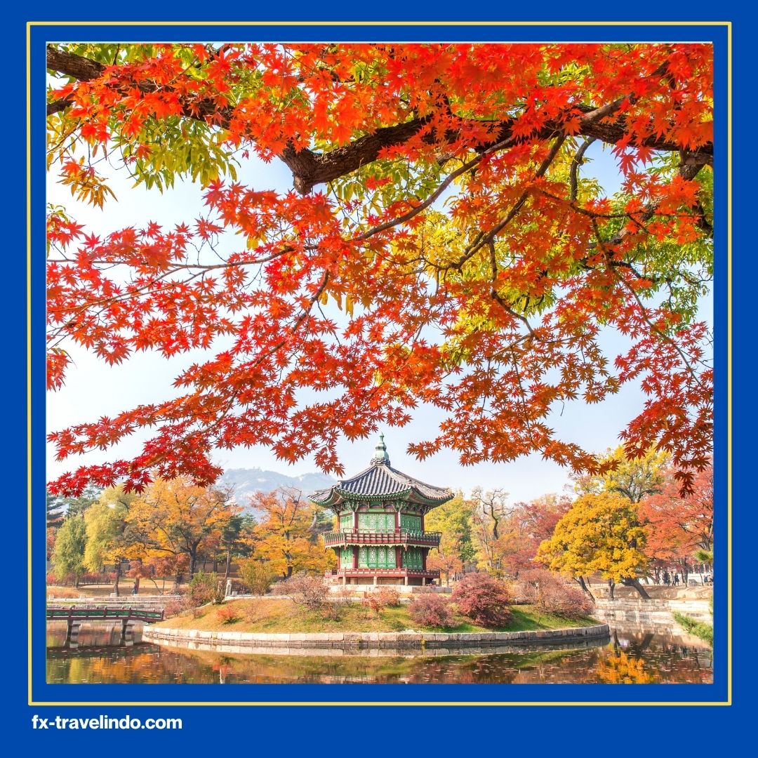 Paket Tour Korea 2025