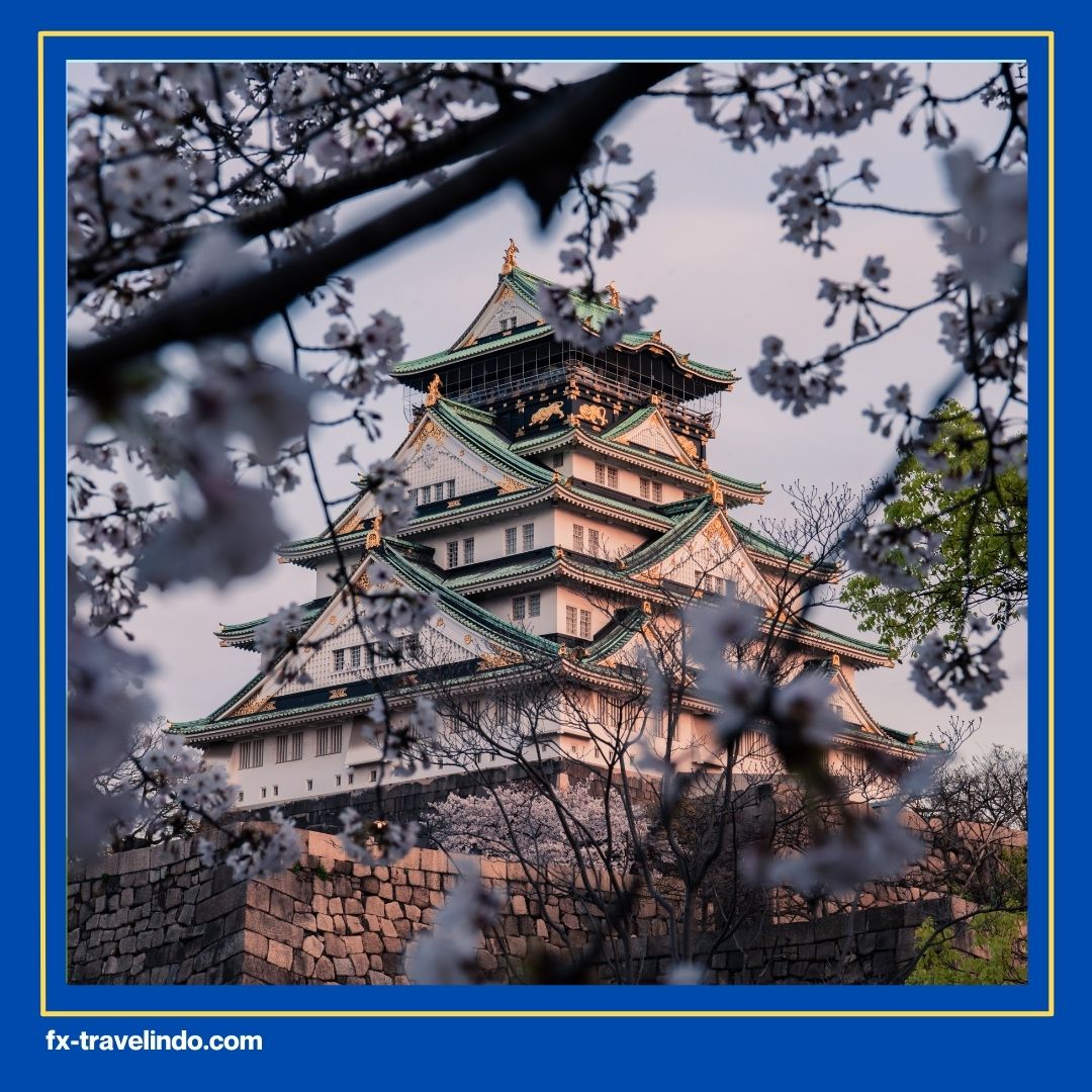 Tour ke Jepang 2025