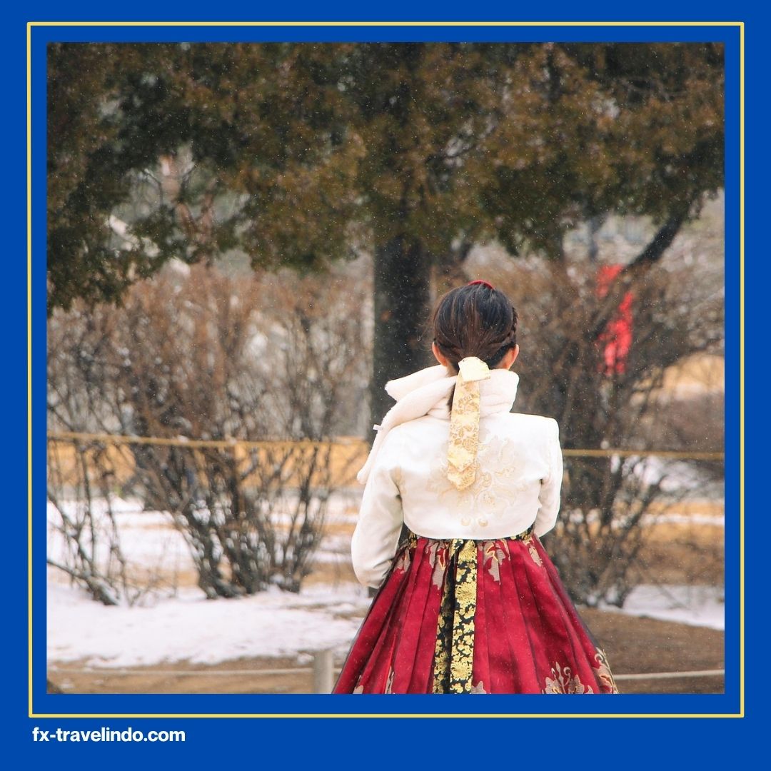 Tour Korea Selatan