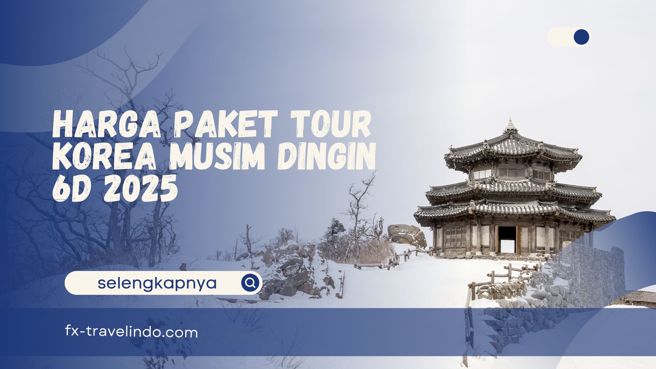 tour korea 2025