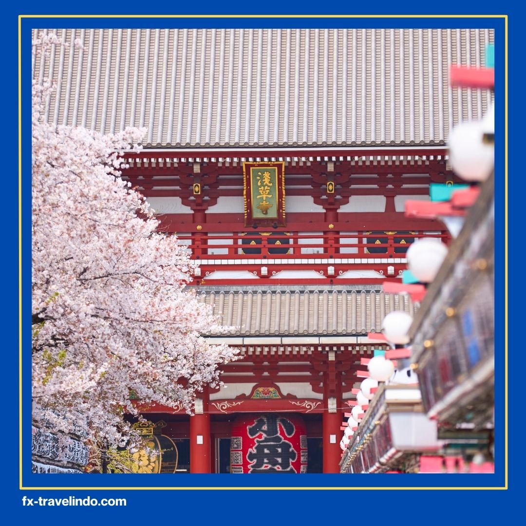 Harga Paket Tour Jepang 7 Hari 2026