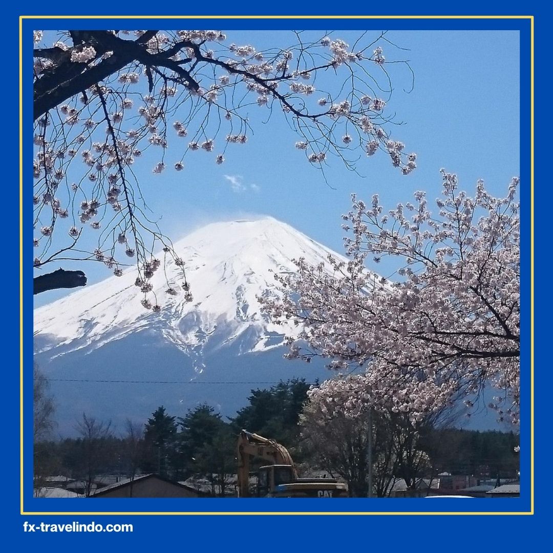 Harga Paket Tour Jepang 7 Hari 2026