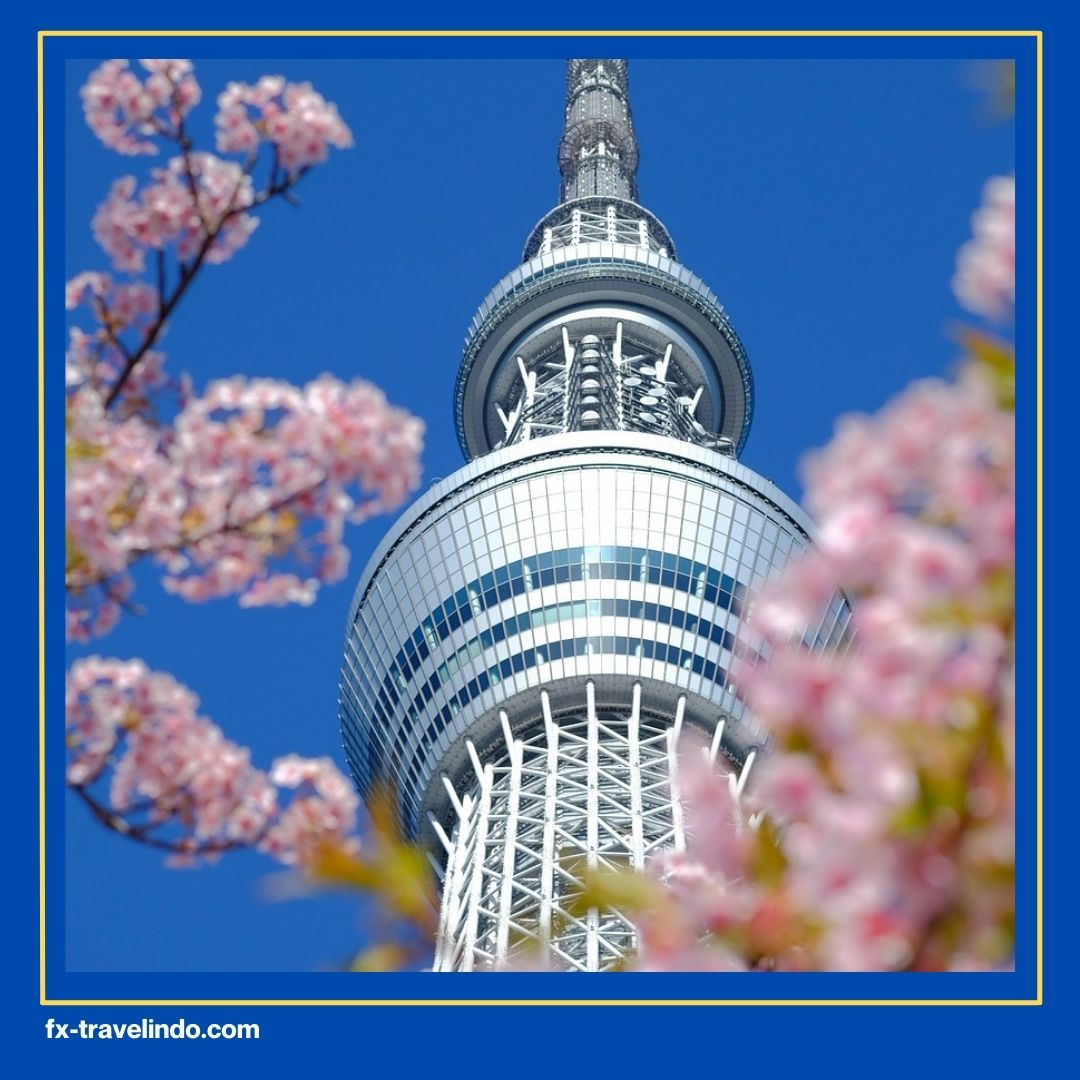 Paket Tour Jepang 2026