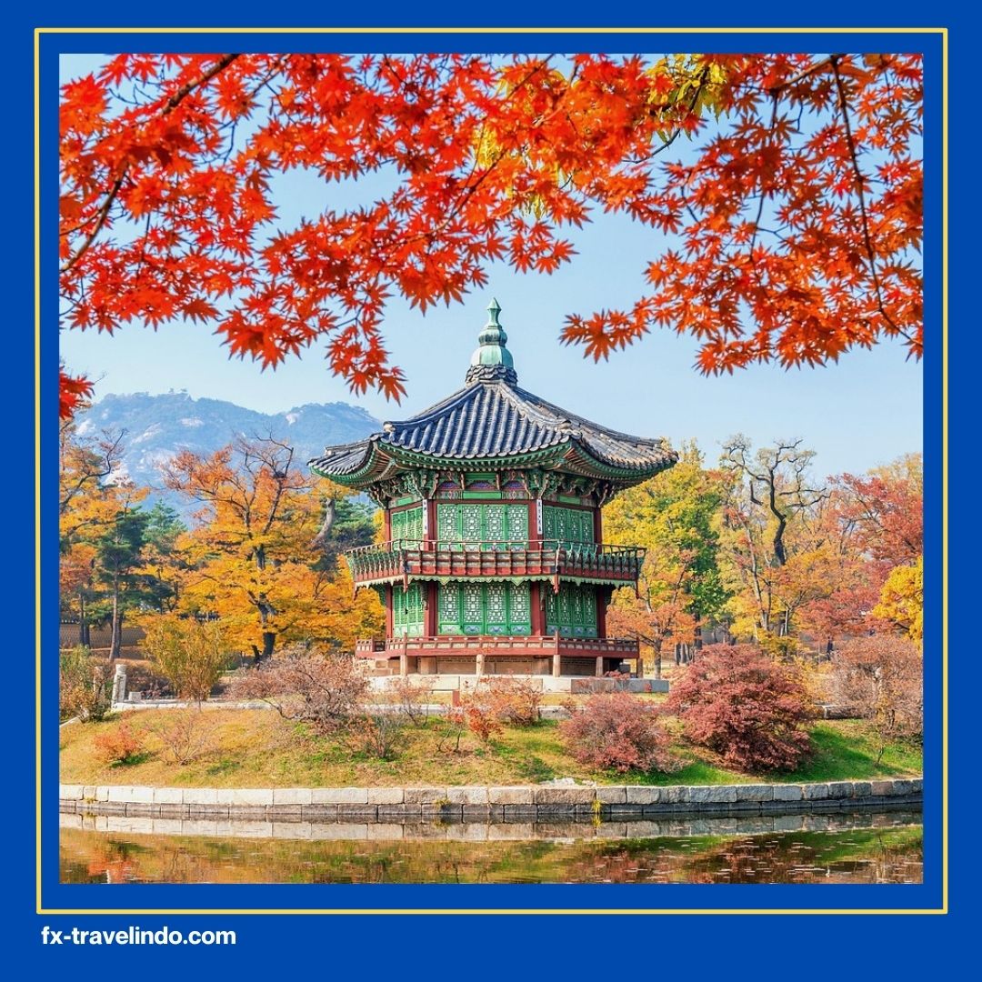 Korea Tour Package
