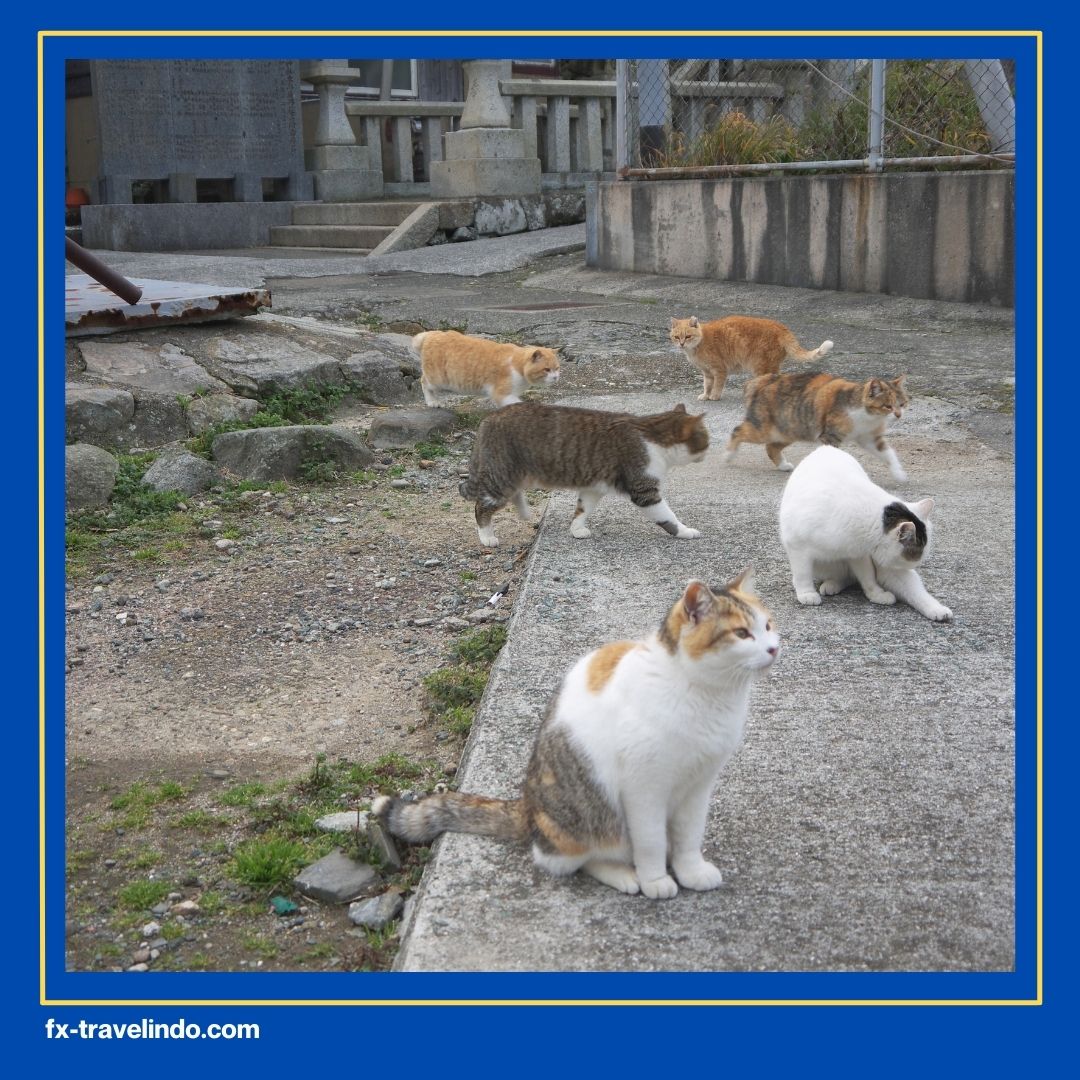 Tentang Jepang yang Menarik