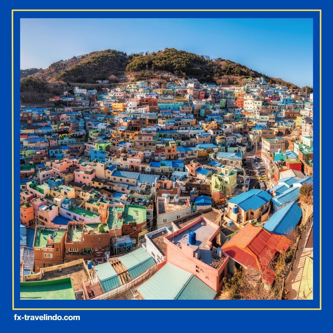 Korea Busan Tour