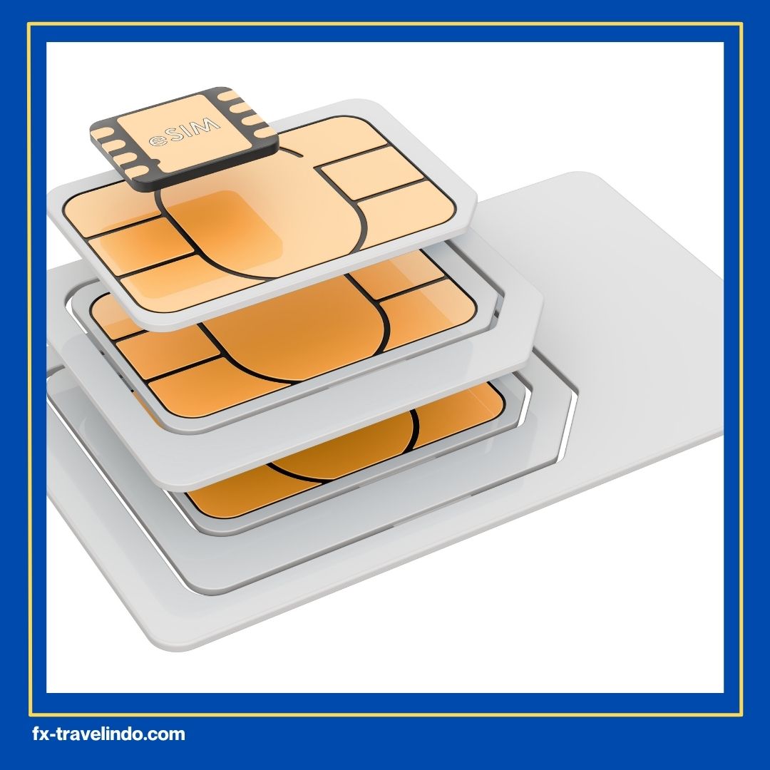 SIM Card China