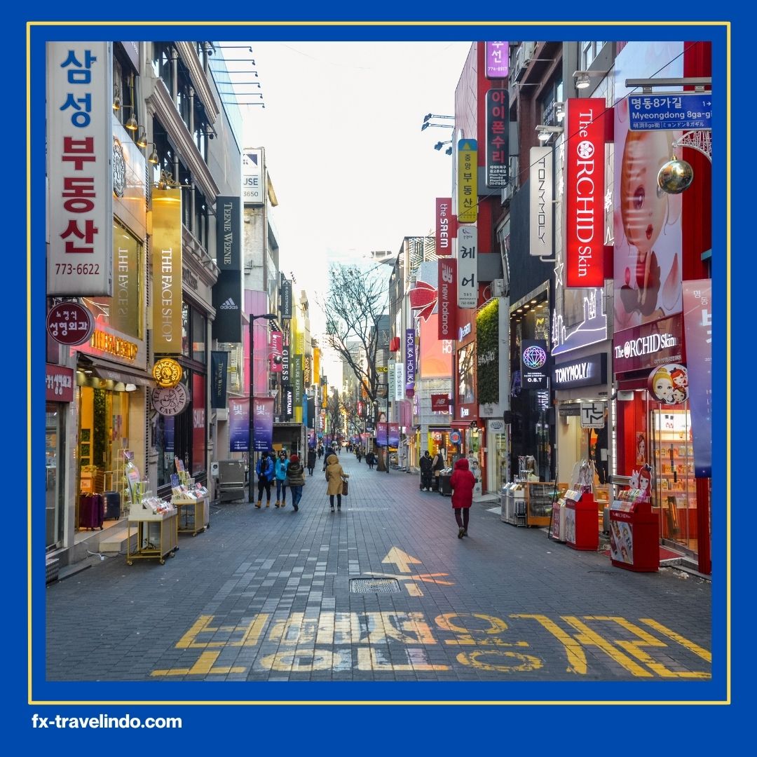 Korea Busan Tour