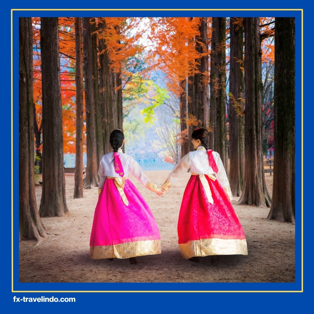 Nami Island Tour