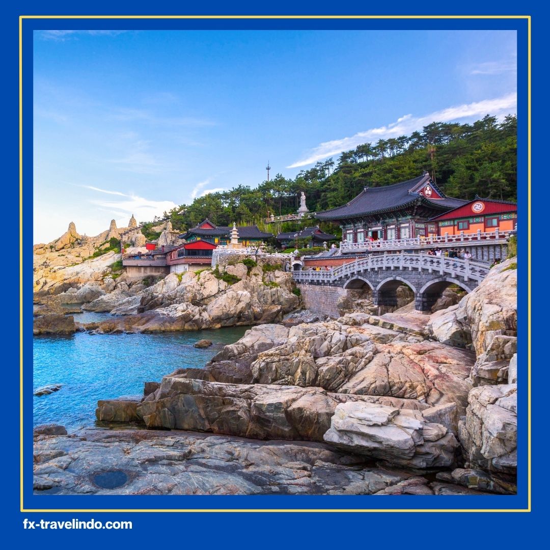 Tour Busan Seoul Nami