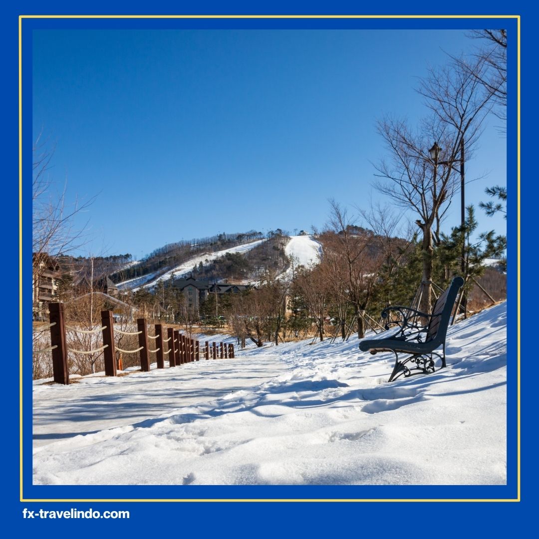 Ski Resort Korea