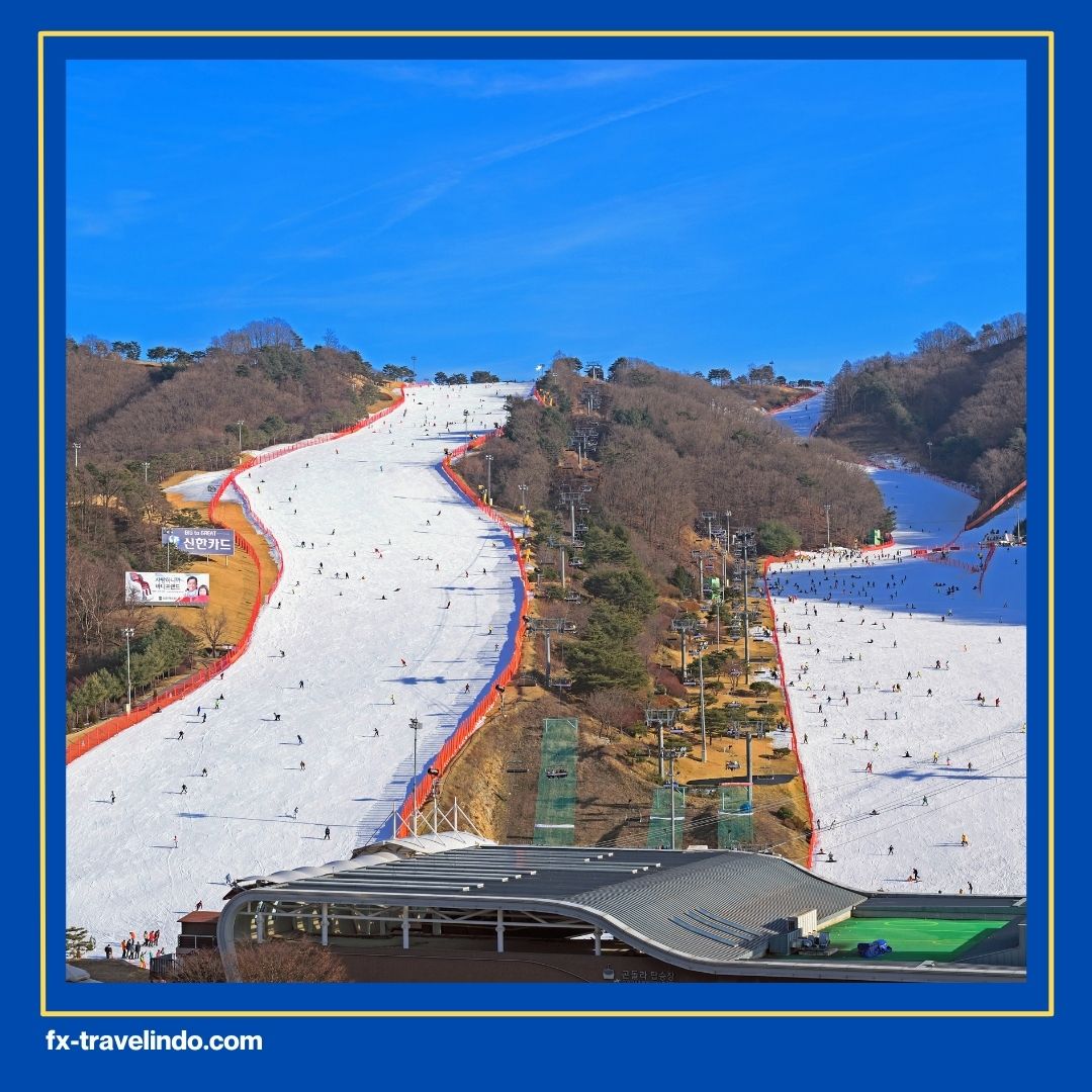 Ski Resort Korea