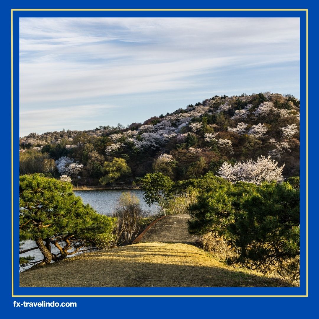 Wisata Korea Selatan Musim Panas