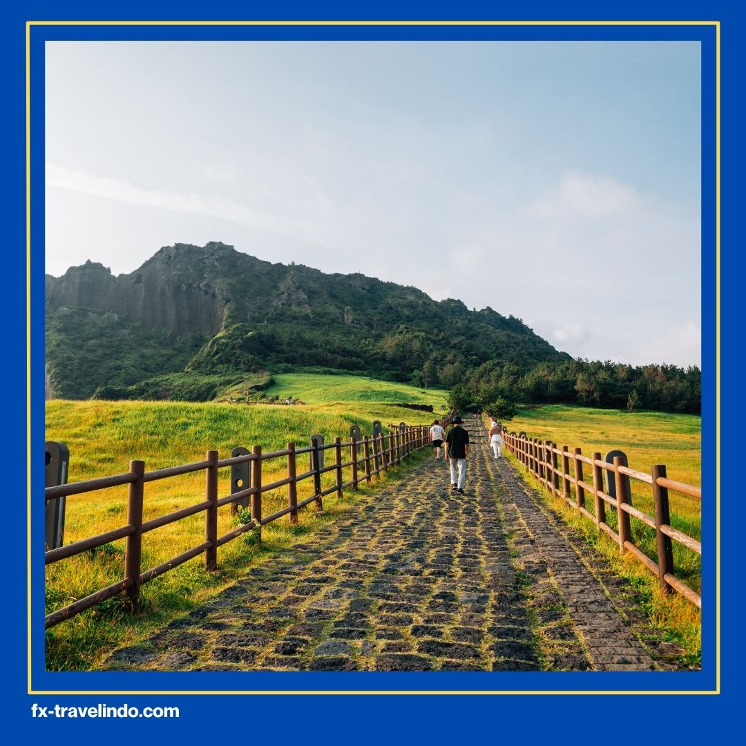 Wisata Korea Selatan Musim Panas