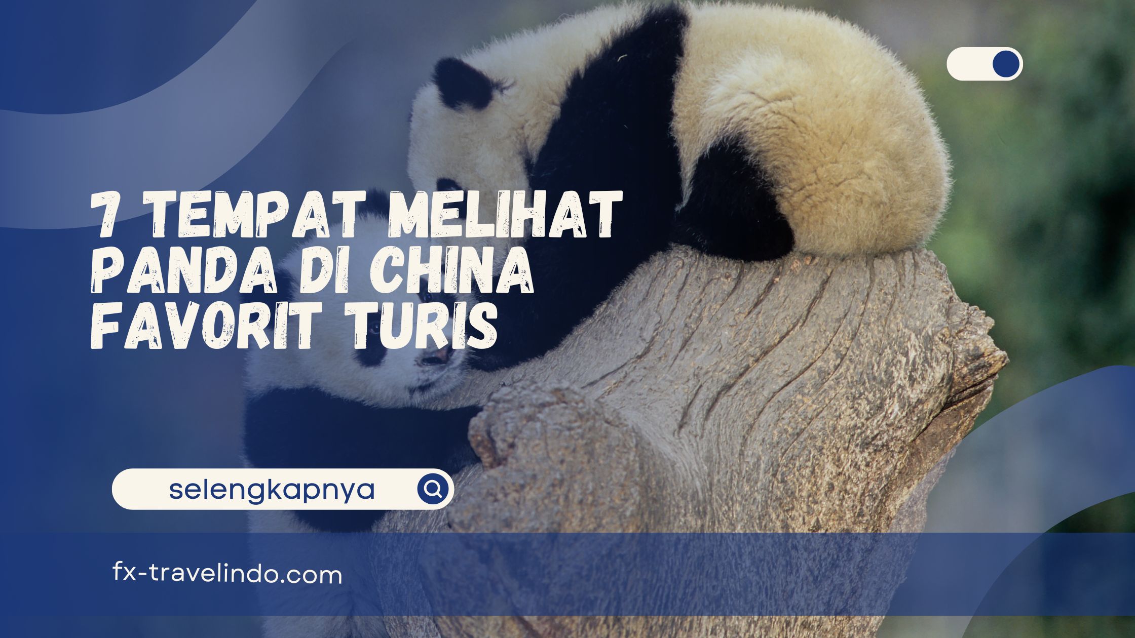 Tempat Melihat Panda di China