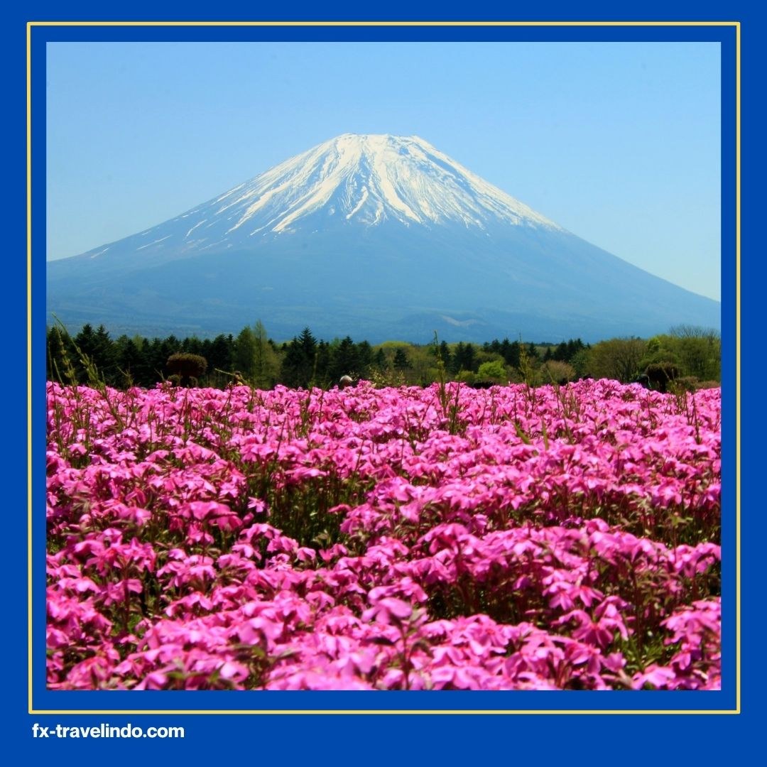 Tempat Terkenal di Jepang