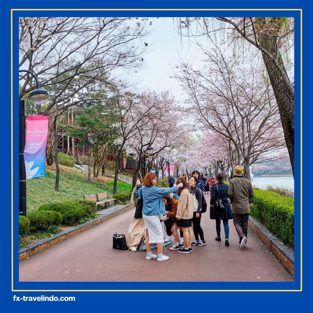 Cara Liburan ke Korea