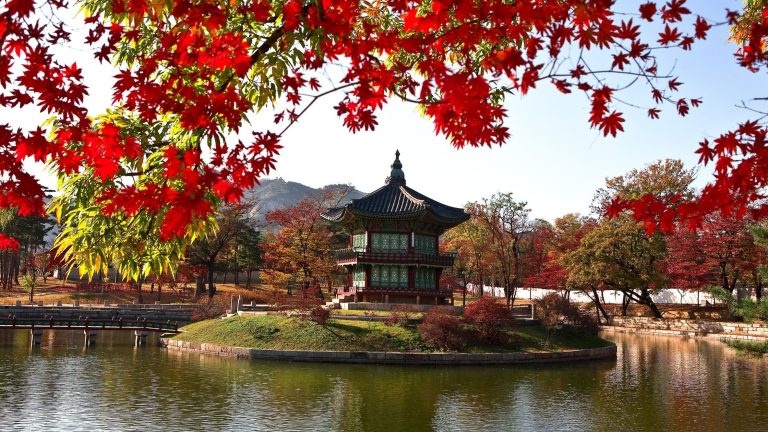 Autumn Tour Korea
