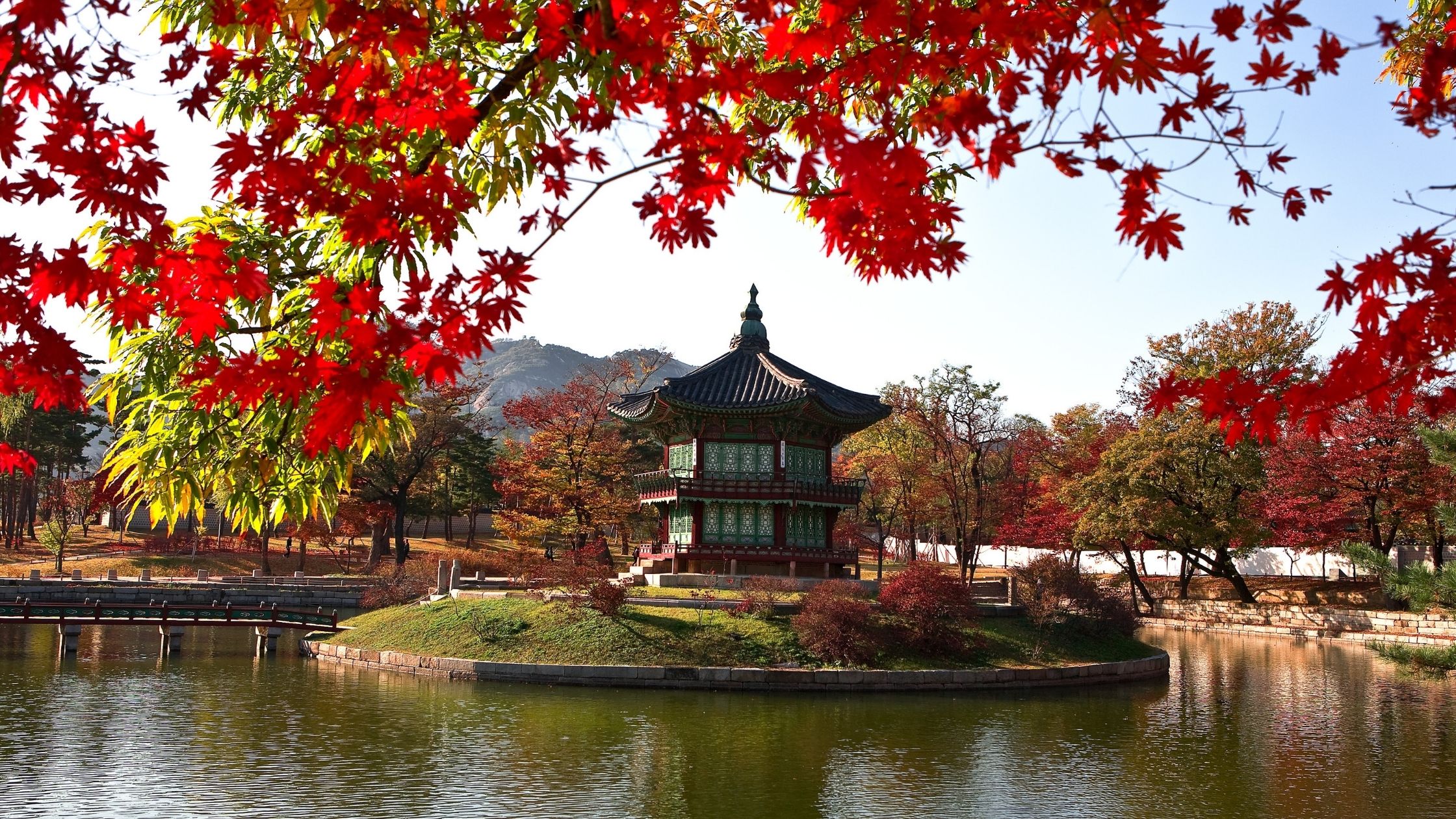 Autumn Tour Korea