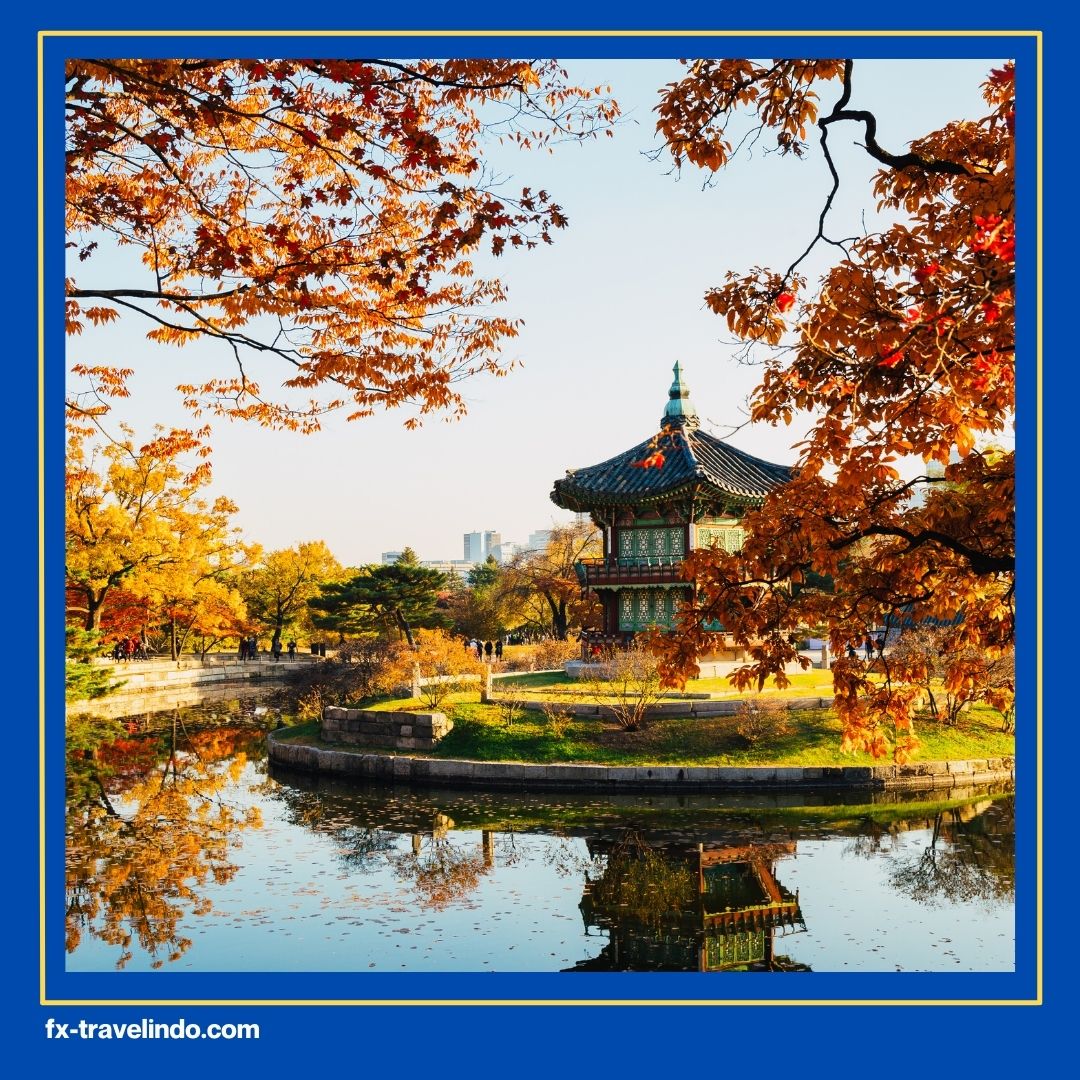 Autumn Tour Korea