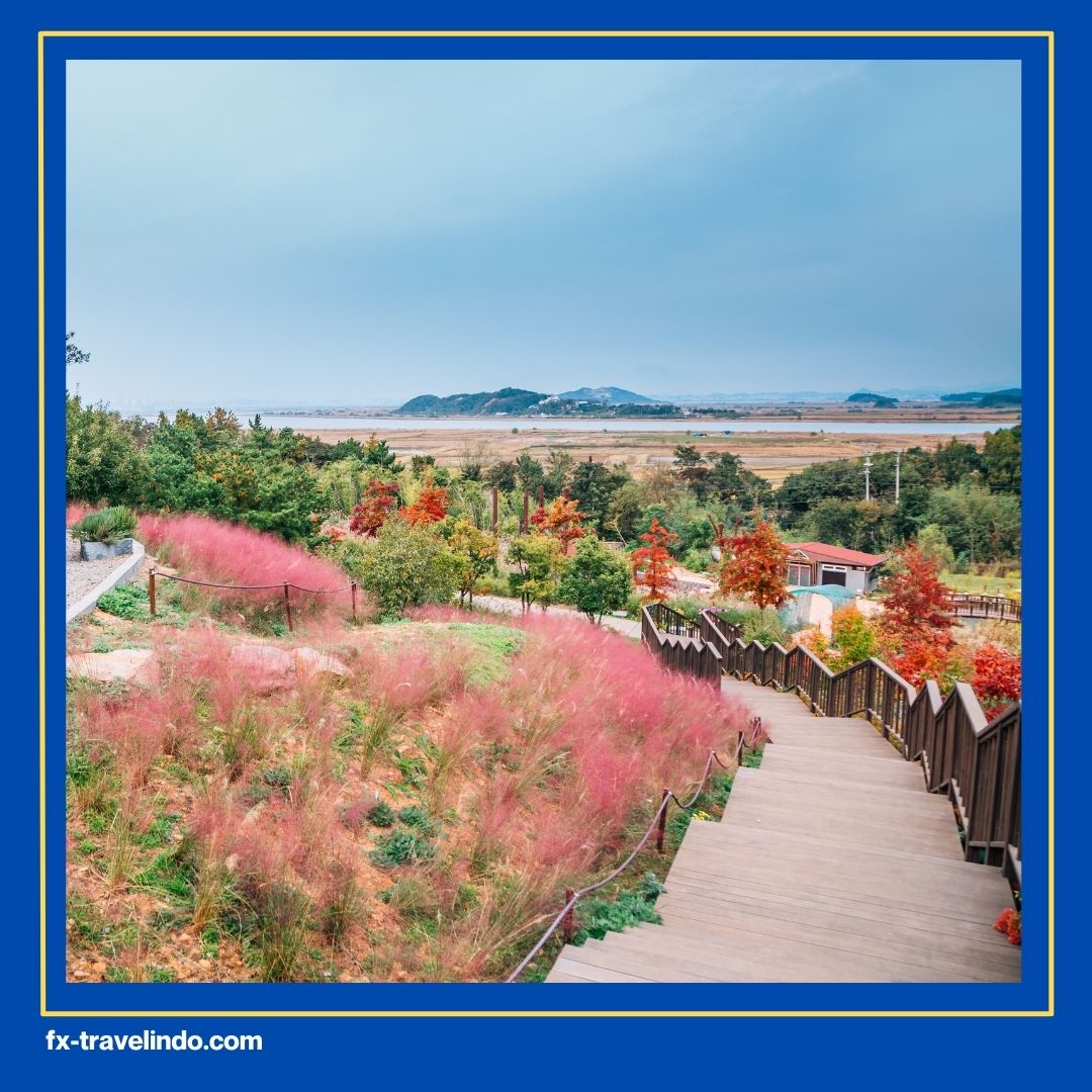 paket tour Korea halal
